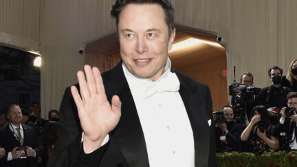 Elon Musk in tuxedo