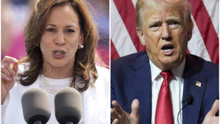 Kamala Harris and Donald Trump composite photo