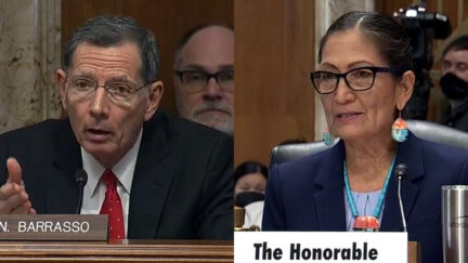 Barrasso and Haaland