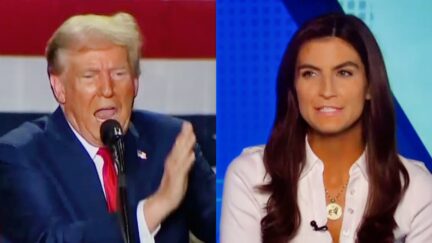 CNN Newsroom-CNN's Kaitlan Collins Stunned By Trump Police Brutality Rant_ 'Literally The Plot Of The Purge'-2024-09-29