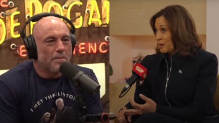 Harris Campaign Advisor Says 'Progressive' Staff Killed Rogan Interview