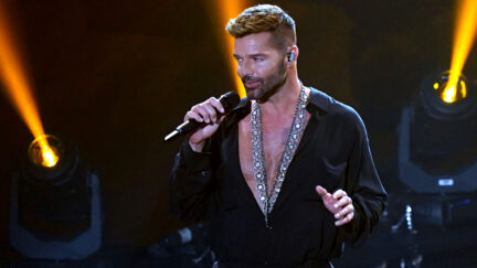 Ricky Martin Barbara Walters