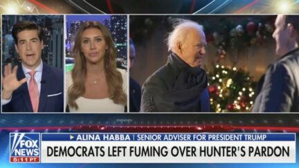 Alina Habba Claims 'We Have Billionaires' Like Elon Musk Who Will 'Run the Country Like They Run Their Businesses'