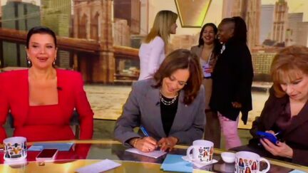 The View Reveals What Kamala Harris Was Doing During Commercial Break — Right After Co-Host Blurts 'Trump Is A Racist!'-2024-10-08