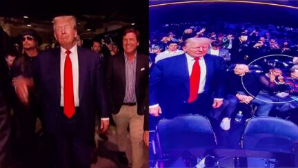 Trump Gets Flipped The Middle Finger By Star Comic's Wife At UFC Event — On GIANT Arena Screen