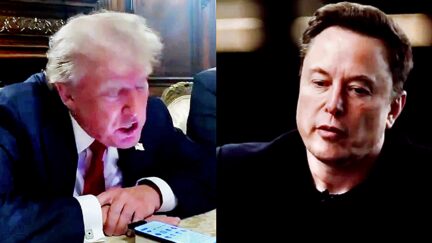 Trump Sources Knife Elon Musk Over Distracting Antics In Anonymous Leaks To Politico