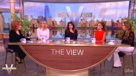 View Hosts Debate Trump Assassination Attempt