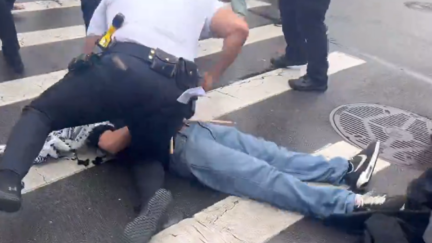 Cop punching protestor