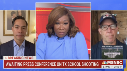 Joy Reid on TX Shooting: Canada, Mexico Should Build Walls