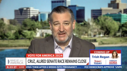 Ted Cruz pleads for more funding in Texas senate race